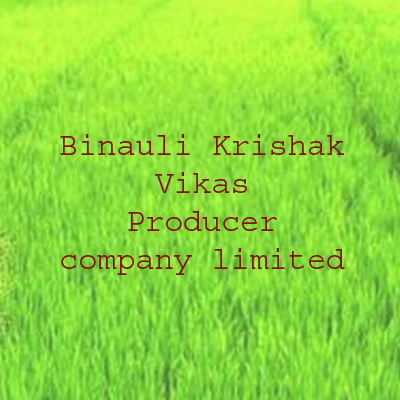 Binauli Krishak Vikas Producer company limited